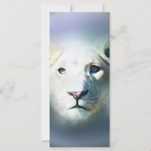 Carte Afrique Blanc Lion Blue Eyes