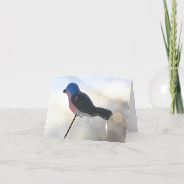 Carte After The Storm Winter Nature Photography Note (Devant)