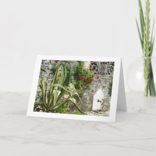 CARTE AGAVE ET ROSES