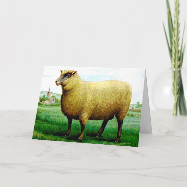 Carte agneau vintage peint vert pâturage (Devant)