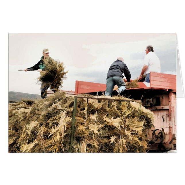 CARTE AGRICOLE (Devant horizontal)