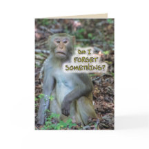 Ai-je oublié quelque chose