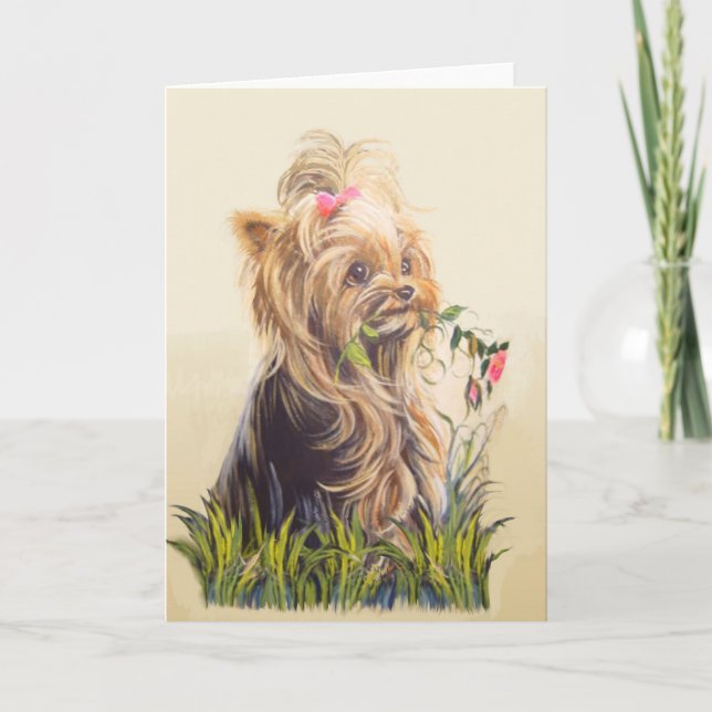 Carte "Aider Momma Garden" (Devant)