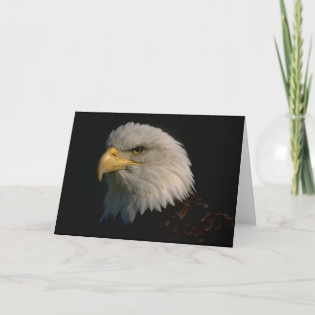 Carte Aigle américain à tête blanche (Devant)
