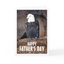 Aigle américain chauve dans le nid