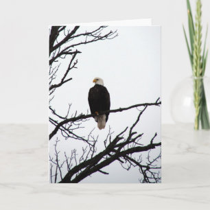 Carte Aigle Balle Dans L'Arbre