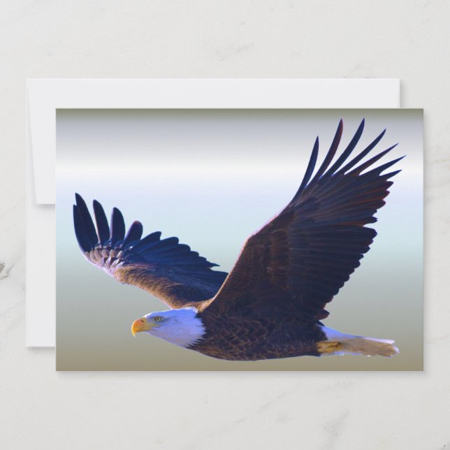 Carte Aigle volant (Devant)
