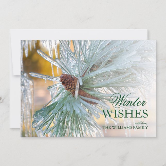 Carte aiguilles de pin encerclées dans la glace (Devant)