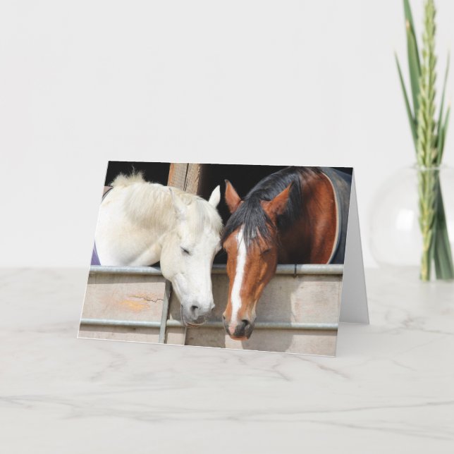 Carte Aimer les chevaux (Devant)