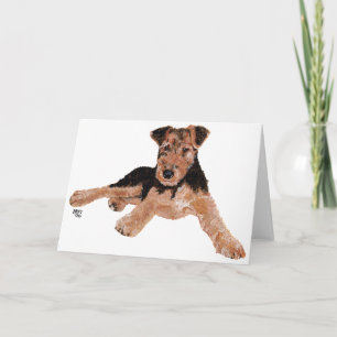 Carte Airedale, Lakeland, Welsh Terrier Pup