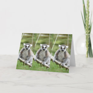 Carte AJOUTER VOTRE PROPRE TEXTE Lemur