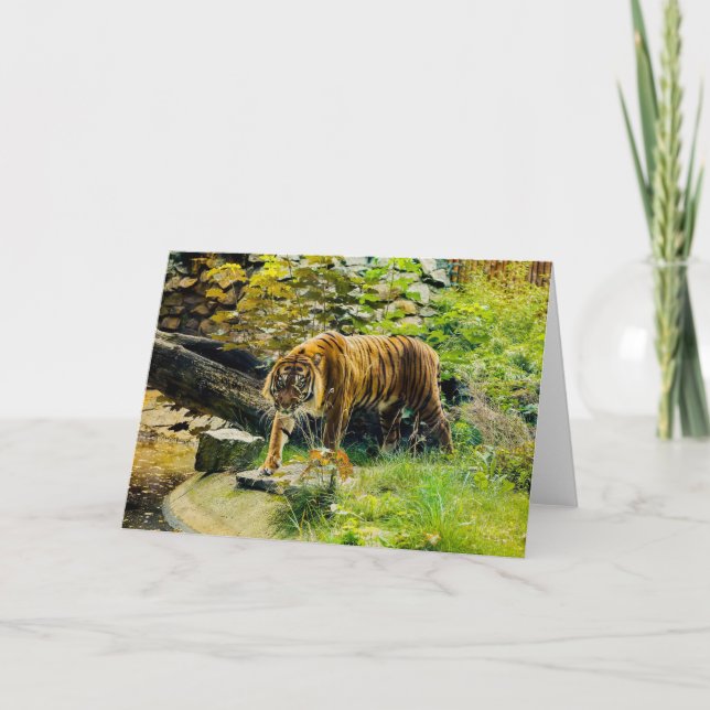 Carte AJOUTEZ VOTRE PROPRE TEXTE Tigre (Devant)