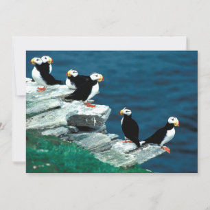 Carte Alaska Tampins
