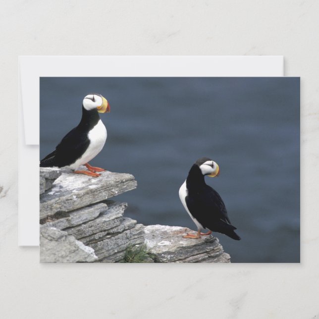 Carte Alaska Tampins (Devant)