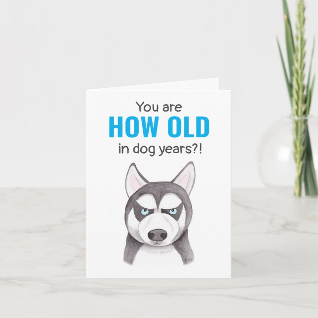 Carte Alaskan Sibérie Husky Funny Chien Amoureux Anniver (Devant)