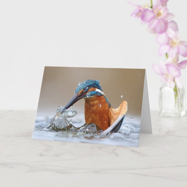 Carte Alcedo Atthis Kingfisher eau de chasse Luca Casale (Orchidée)