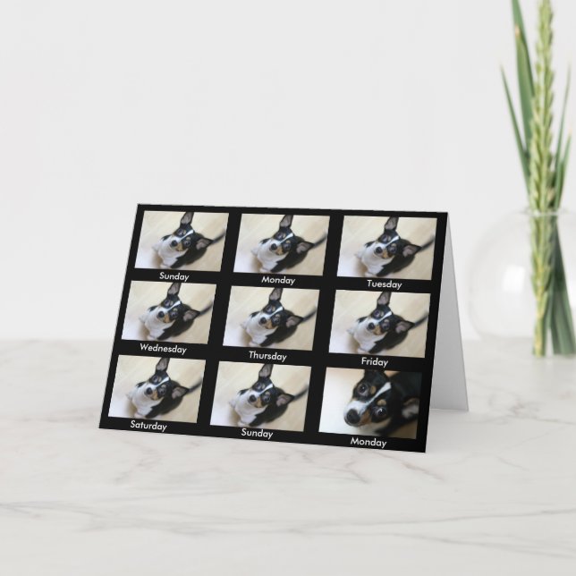 Carte Alcooliques anonymes "Continuez à revenir..." (Devant)