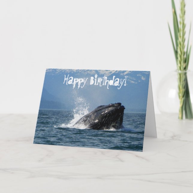 Carte Alimentation de baleines à bosse (Devant)