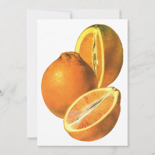 Carte Aliments Anciens, Oranges Fraîches Biologiques Sai