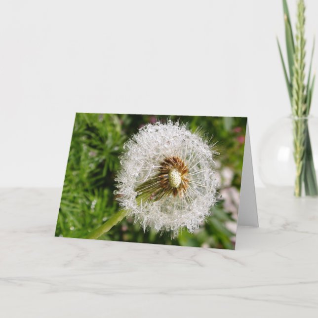 Carte Aller aux semences (Devant)