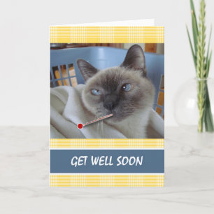 Carte Allez Bien Bientôt, Chat Malade, Récupération Puri