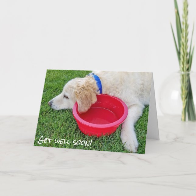 Carte allez-vous bien bientôt - chien avec bol d'eau rou (Devant)