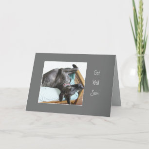 Carte Allez-Y Bientôt Amusez-Vous Super Dane Chien Humou