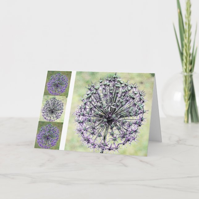 Carte Allium (Devant)