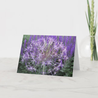 Carte Allium/Salvia