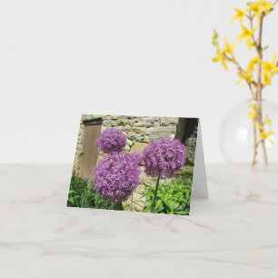 Carte Allium (vide)