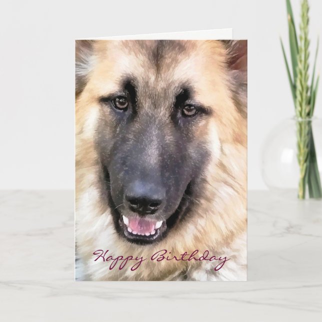 CARTE ALMAN SHEPHERD (Devant)