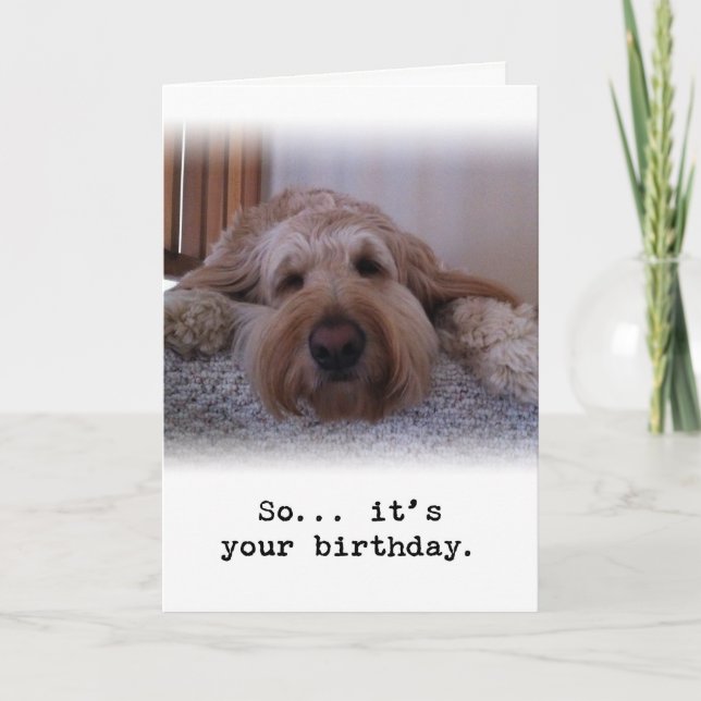 Carte Alors... C'est ton anniversaire (Devant)