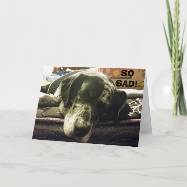 CARTE ALORS TRISTE DE VOUS VOIR ALLER - PUP EST JUSTE SI (Devant)