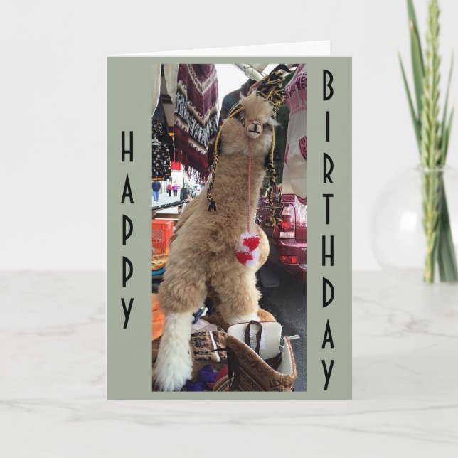 CARTE ALPACA DONNE DES "CONSEILS D'ANNIVERSAIRE" SUR COM (Devant)