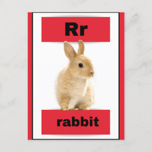 carte alphabet (avec image réelle)