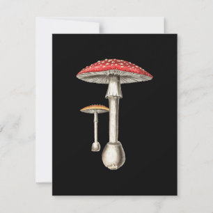 Carte Amanita Muscaria Mushroom Botanical Nature Fungi