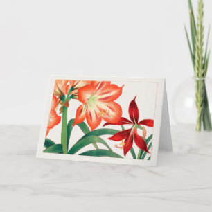 Carte Amaryllis par Tanigami Konan