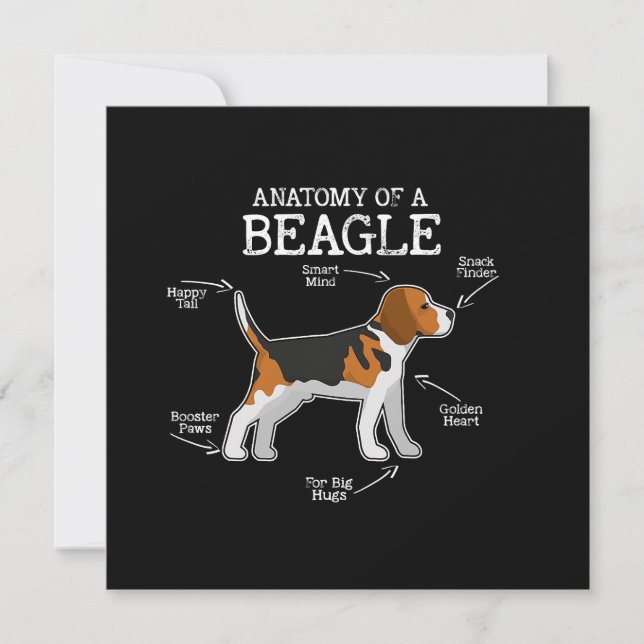 Carte Amateurs beagles/ Anatomie D'Un Beagle (Devant)