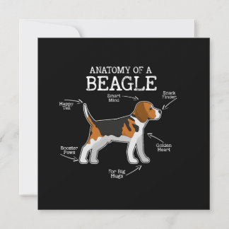 Carte Amateurs beagles/ Anatomie D'Un Beagle