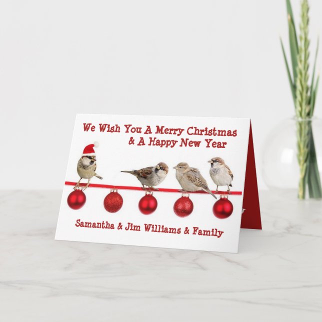 Carte Amateurs d'oiseaux, joyeux Noël (Devant)