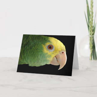 Carte Amazon Double Yellowhead