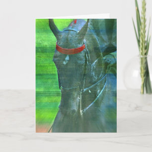 Carte Américain Saddlebred, anniversaire