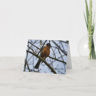Carte américaine Robin Birds of Spring
