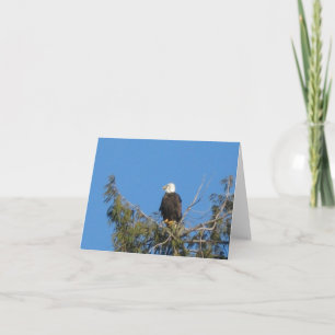 Carte American Bald Eagle Note