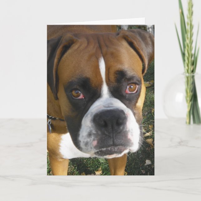 Carte American Bulldog Birthday (Devant)