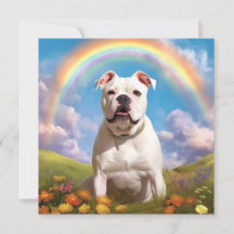 American Bulldog Rainbow Bridge Nom personnalisé C