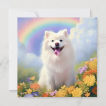 American Eskimo Dog Rainbow Bridge Nom personnalis