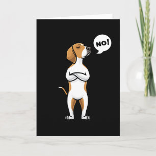 Carte American Foxhound Stubborn Dog