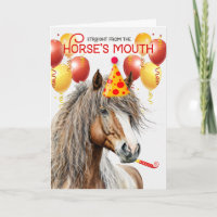 American Minature Horse Chestnut Funny Anniversair