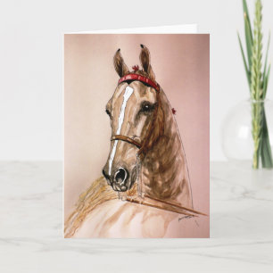 Carte American Saddlebred Horse